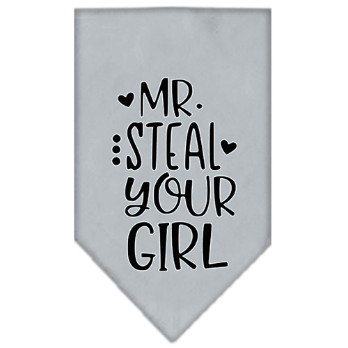 Mr Steal Your Girl Screen Print Bandana Grey Small